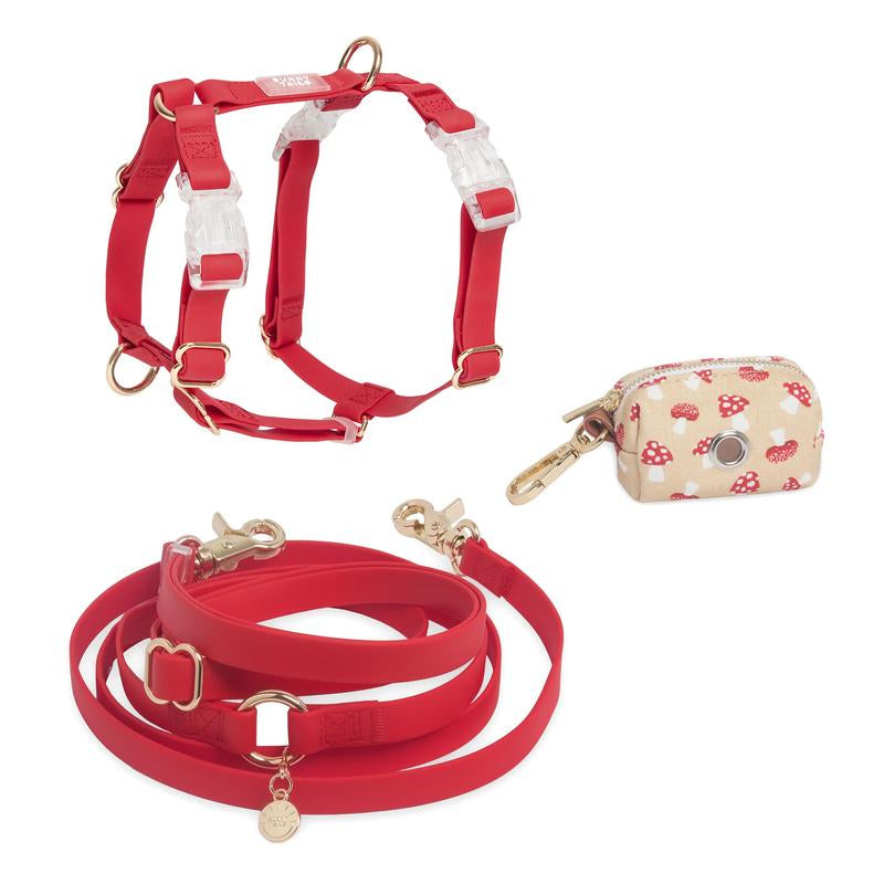 4-In-1 Cloud Hands Free Leash 5/8" Dog Harness Bundle ($108 Value)