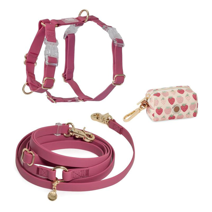 4-In-1 Cloud Hands Free Leash 5/8" Dog Harness Bundle ($108 Value)