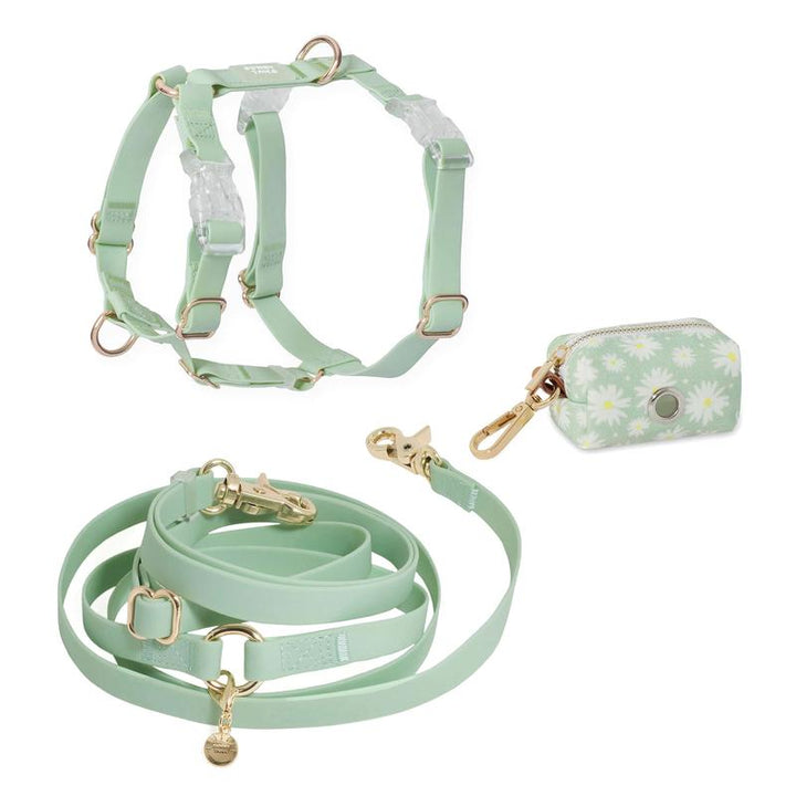 4-In-1 Cloud Hands Free Leash 5/8" Dog Harness Bundle ($108 Value)