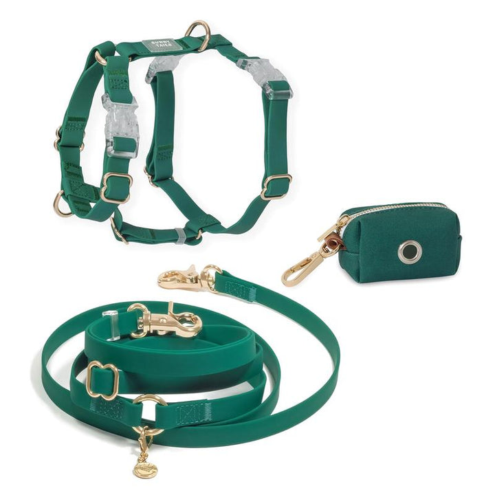4-In-1 Cloud Hands Free Leash 5/8" Dog Harness Bundle ($108 Value)