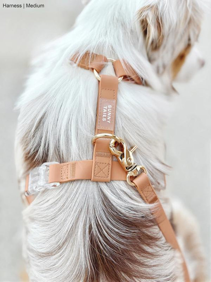 4-In-1 Cloud Hands Free Leash 5/8" Dog Harness Bundle ($108 Value)