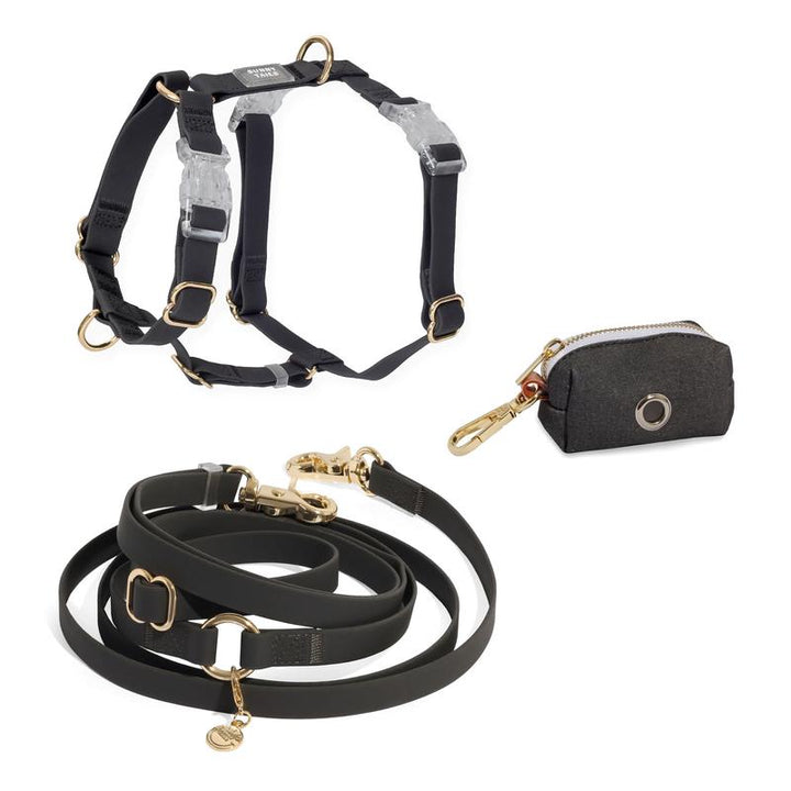4-In-1 Cloud Hands Free Leash 5/8" Dog Harness Bundle ($108 Value)
